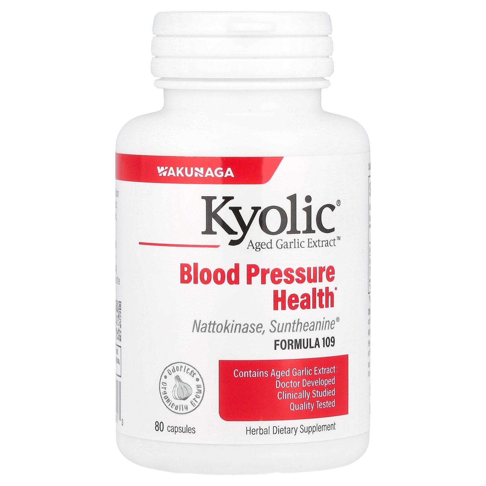 Kyolic — Aged Garlic Formula 109